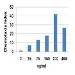 Recombinant Human CCL1 (I-309) (carrier-free)