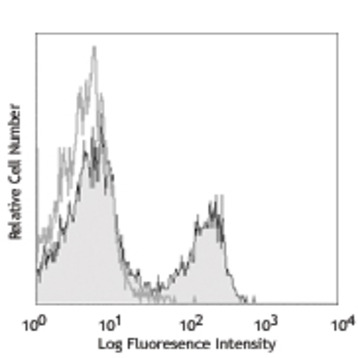 Purified anti-mouse CD3e