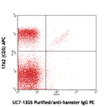 Purified anti-mouse TCR gamma/delta