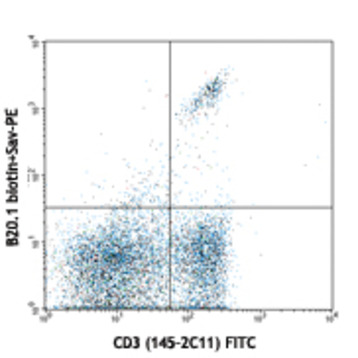 Biotin anti-mouse TCR Valpha2