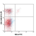 FITC anti-mouse TCR Vbeta2