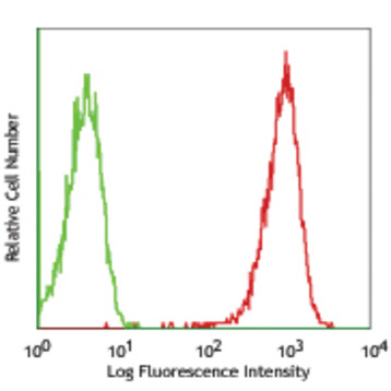 PE anti-mouse RAE-1gamma