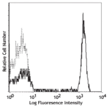 PE anti-human CD4