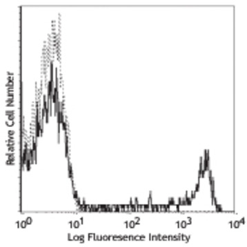 PE anti-human CD8a