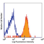 Purified anti-human Lymphotoxin beta Receptor (LT-betaR)