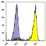 PE anti-human CD172b (SIRPbeta)