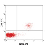 APC anti-human CD79a (Igalpha)