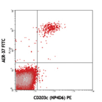 FITC anti-human FcepsilonRIalpha