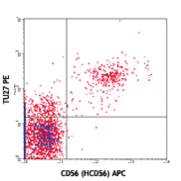 PE anti-human CD122 (IL-2Rbeta)