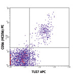 APC anti-human CD122 (IL-2Rbeta)