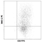 PE anti-mouse IFN-gamma