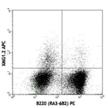 APC anti-mouse IFN-gamma