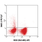 PE/Cy7 anti-mouse IFN-gamma