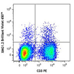 Brilliant Violet 650(TM) anti-mouse IFN-gamma