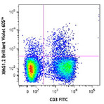 Brilliant Violet 605(TM) anti-mouse IFN-gamma