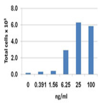 Recombinant Mouse CCL20 (MIP-3alpha) (carrier-free)