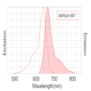 Anti-?-Tubulin Monoclonal Antibody (3G5) , AbFluor™ 647 Conjugated