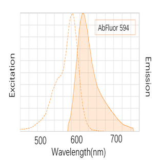 Anti-HA Tag Mouse Monoclonal Antibody (4F6), AbFluor™ 594 Conjugated