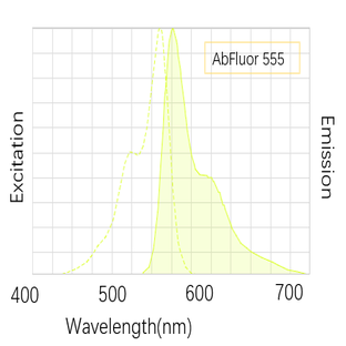 Anti-V5 Tag Mouse Monoclonal Antibody (11D5), AbFluor™ 555 Conjugated