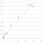 Human Lysyl oxidase homolog 3 (LOXL3) ELISA Kit