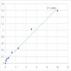 Human Leucyl-cystinyl aminopeptidase (LNPEP) ELISA Kit