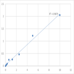 Human Plastin-2 (LCP1) ELISA Kit