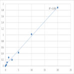 Human Dual specificity protein phosphatase 6 (DUSP6) ELISA Kit