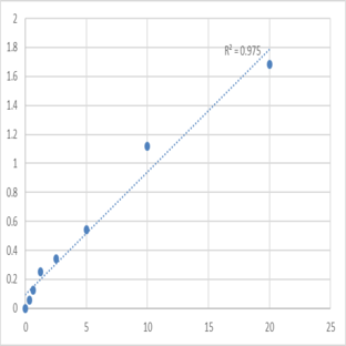 Human Disks large homolog 3 (DLG3) ELISA Kit