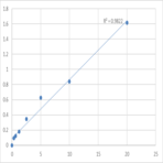 Human Disks large homolog 1 (DLG1) ELISA Kit