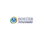 Boster_immunoleader-product